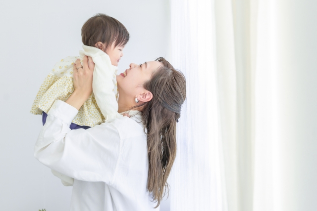 🌳【保険ランドリー】もう迷わない！プロと一緒に“無駄ゼロ保険”で未来を安心設計